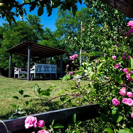 203 - The Cherry House, Con Giardino E Piscina Carro